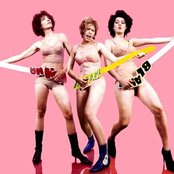 Chicks On Speed - List pictures