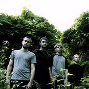 Orgone - List pictures