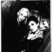 Siouxie - List pictures