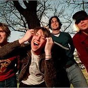 Vines - List pictures