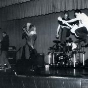 Crashdog - List pictures