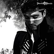 Panda Da Panda - List pictures