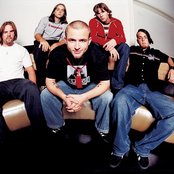 Submersed - List pictures