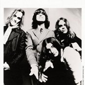 Jellyfish - List pictures