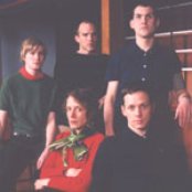 British Sea Power - List pictures