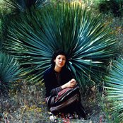 Mia Doi Todd - List pictures