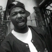 Spice 1 - List pictures