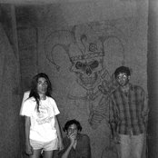 Harry Pussy - List pictures