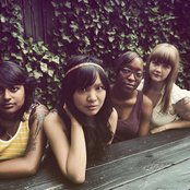 Heliotropes - List pictures