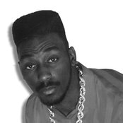 Big Daddy Kane - List pictures