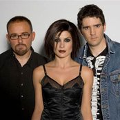 Rogue Traders - List pictures