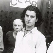 Bush - List pictures