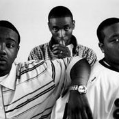 Little Brother - List pictures