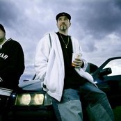 Sfdk - List pictures