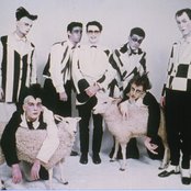 Split Enz - List pictures