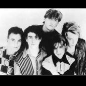 The Woodentops - List pictures