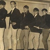 Bachs - List pictures