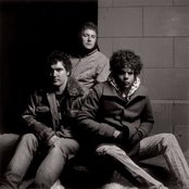 Wolfmother - List pictures