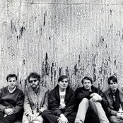 Pavement - List pictures