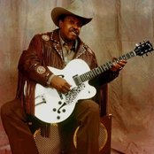 Lonnie Brooks - List pictures