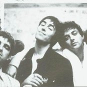 Oasis - List pictures