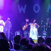 Dub Colossus - List pictures