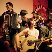 Mother Falcon - List pictures