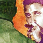 3rd Bass - List pictures