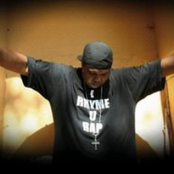 Dynas - List pictures