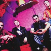 Sunny Day Real Estate - List pictures