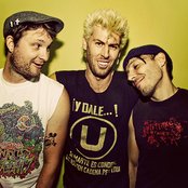 Cobra Skulls - List pictures