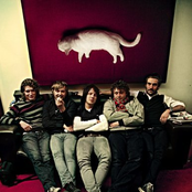 Fokofpolisiekar - List pictures