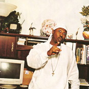 Project Pat - List pictures