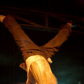 The Legendary Shack Shakers - List pictures