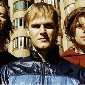 Sportfreunde Stiller - List pictures