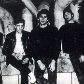 Angry Samoans - List pictures