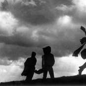 Bobo In White Wooden Houses - List pictures