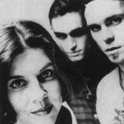 Belly - List pictures