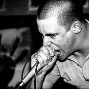 8 Foot Sativa - List pictures