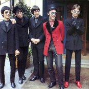 Flamin' Groovies - List pictures