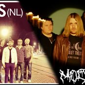 Moss - List pictures