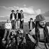 Danakil - List pictures