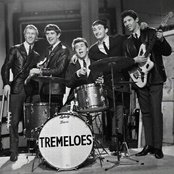 The Tremoloes - List pictures