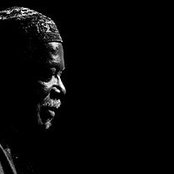 David "fathead" Newman - List pictures