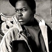 Sean Kingston - List pictures