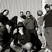 Katchafire - List pictures