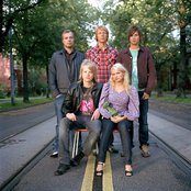 Husky Rescue - List pictures