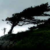 Iamamiwhoami - List pictures