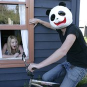 Bumblebeez - List pictures