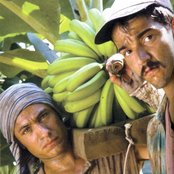 Gael Garcia Bernal - List pictures